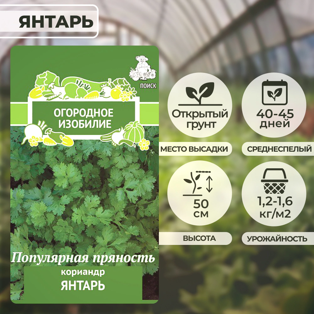 Кориандр Янтарь 3 г ОГ