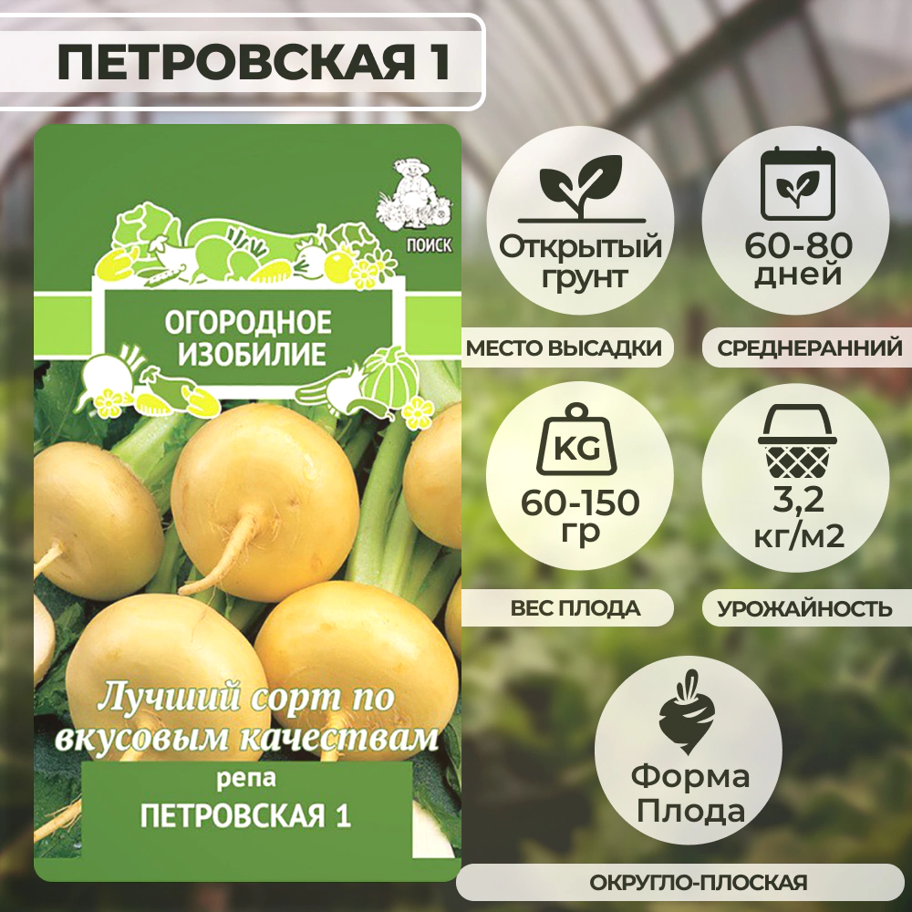 Репа Петровская 1, 1 г ОГ