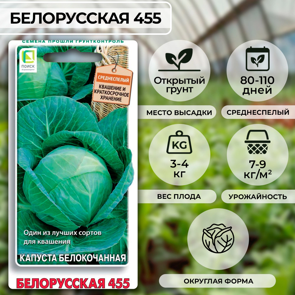 Капуста белокочанная Белорусская 455 0,5 г Поиск