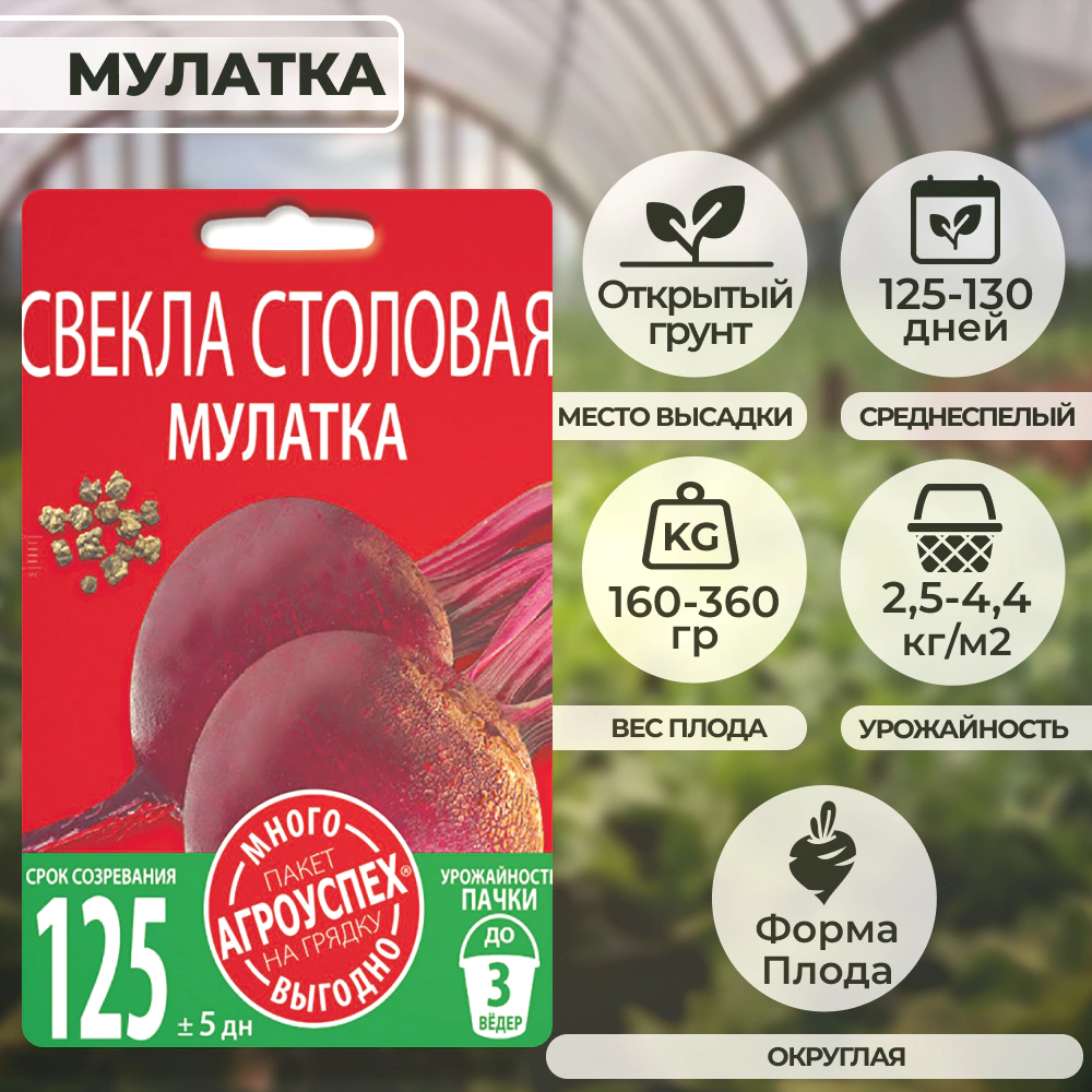 Свекла Мулатка 6 г