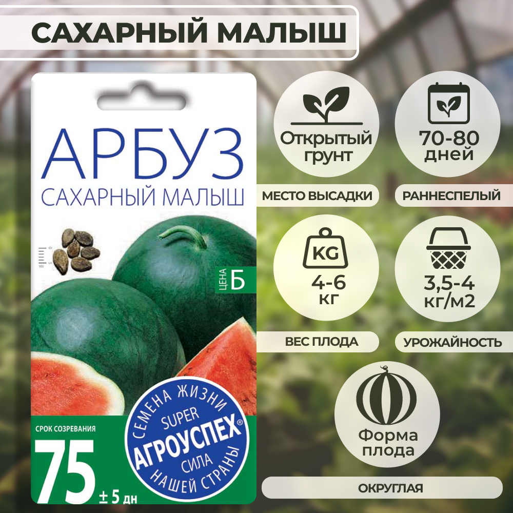 Оптимальные условия для роста