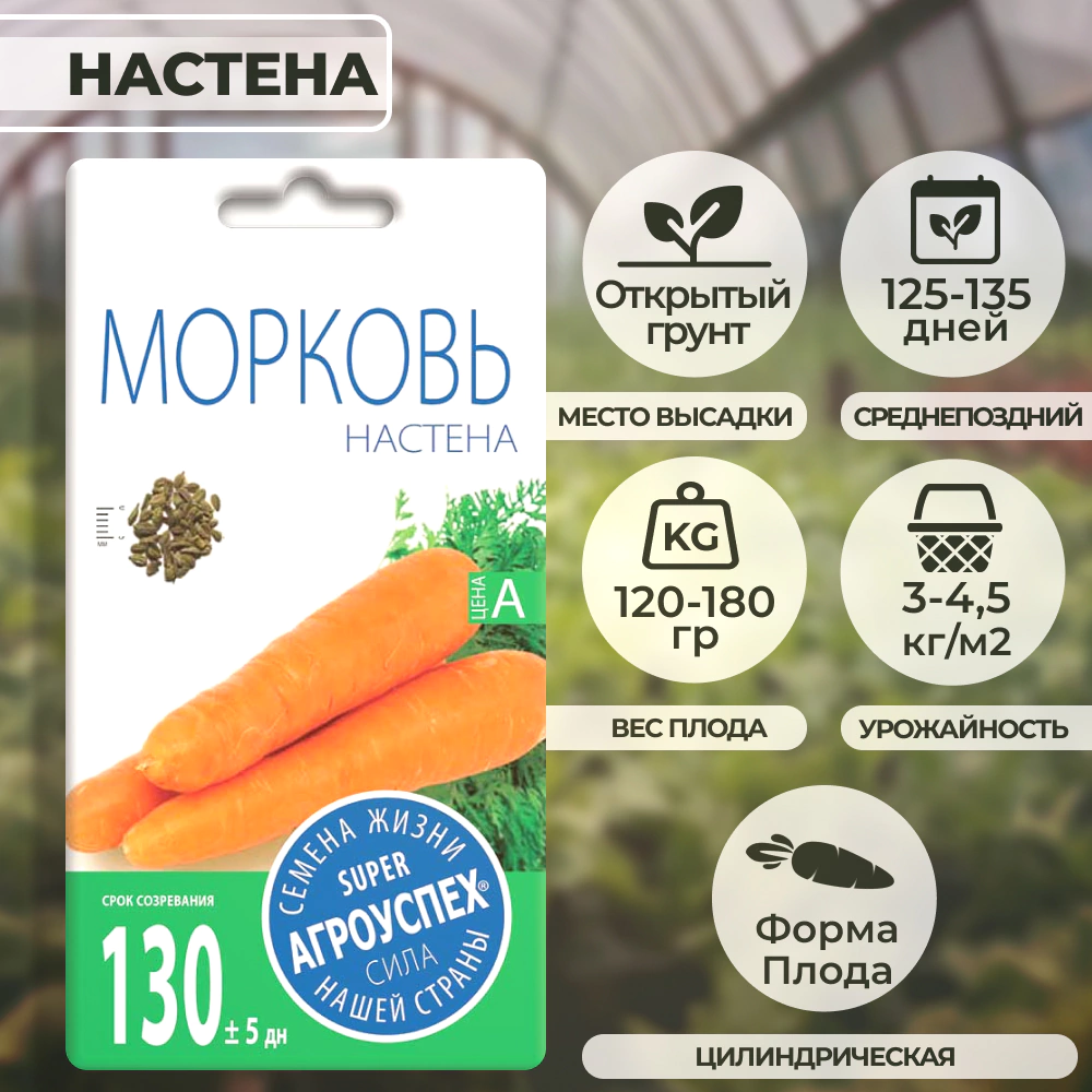 Морковь Настена 2 г