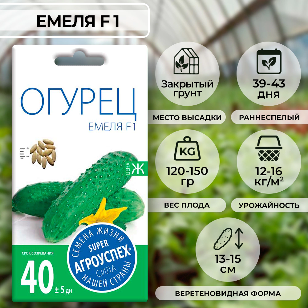 Огурец Емеля F1, 10 шт