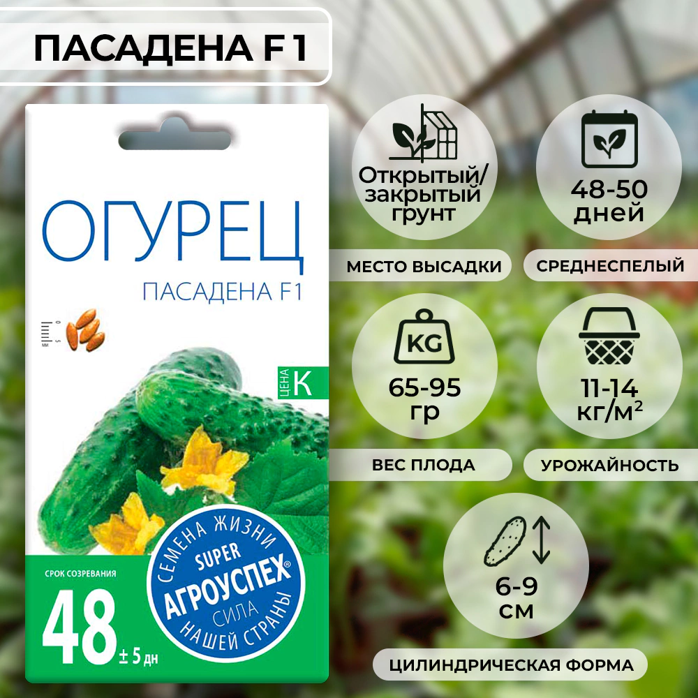 Огурец Пасадена F1, 7 шт