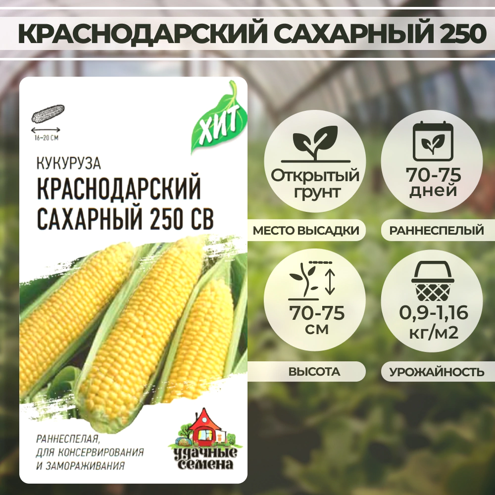 Кукуруза Краснодарский сахарный CВ 250 F1 5 г ХИТ