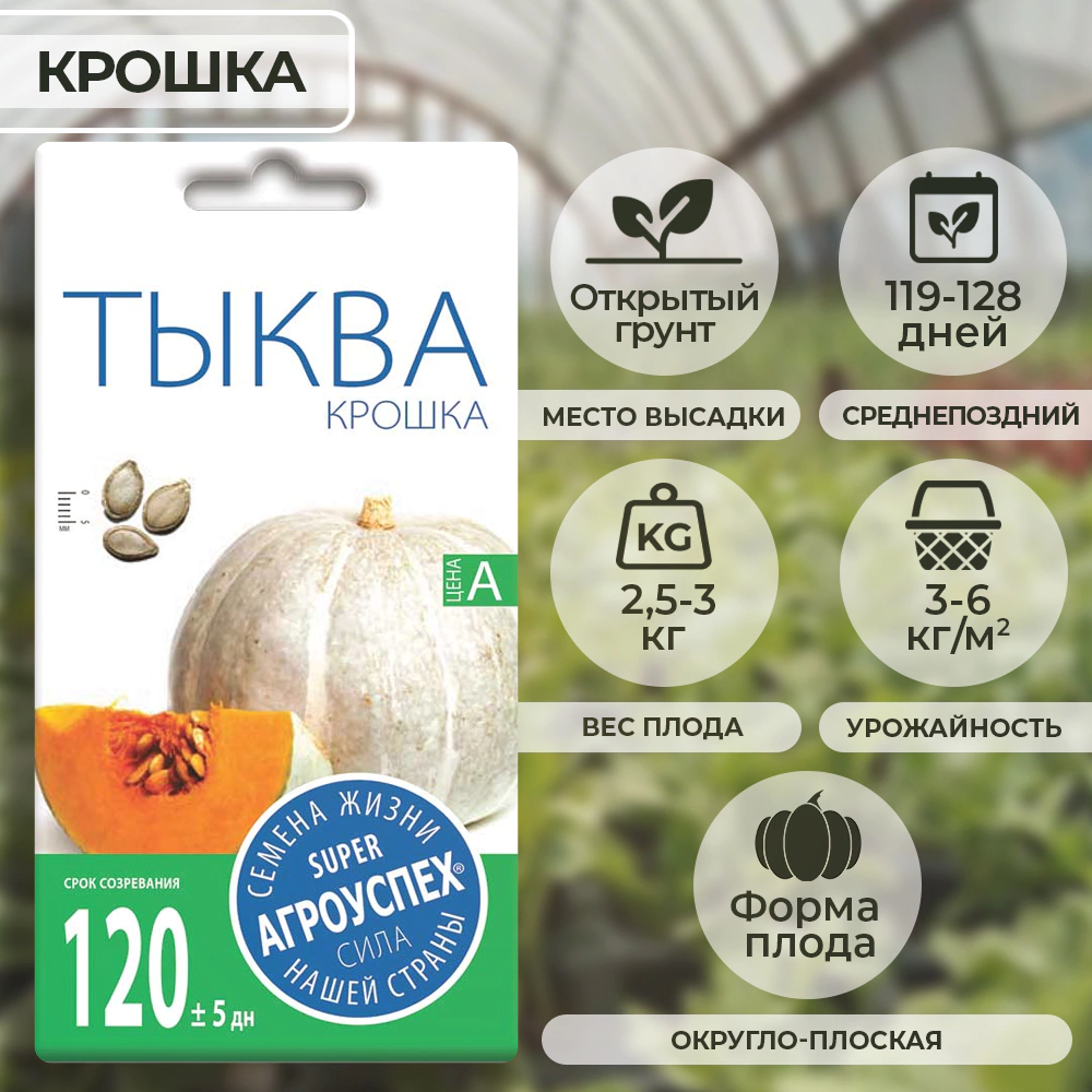 Тыква Крошка 2 г Агроуспех