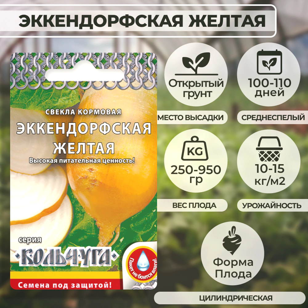 Свекла кормовая Эккендорфская желтая 3 г Кольчуга