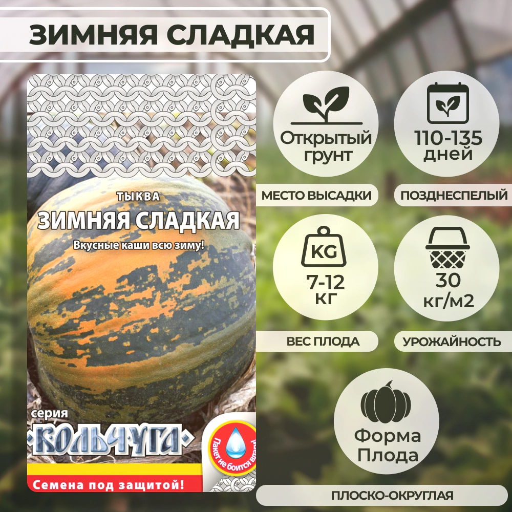 Тыква Зимняя сладкая 1 г Кольчуга