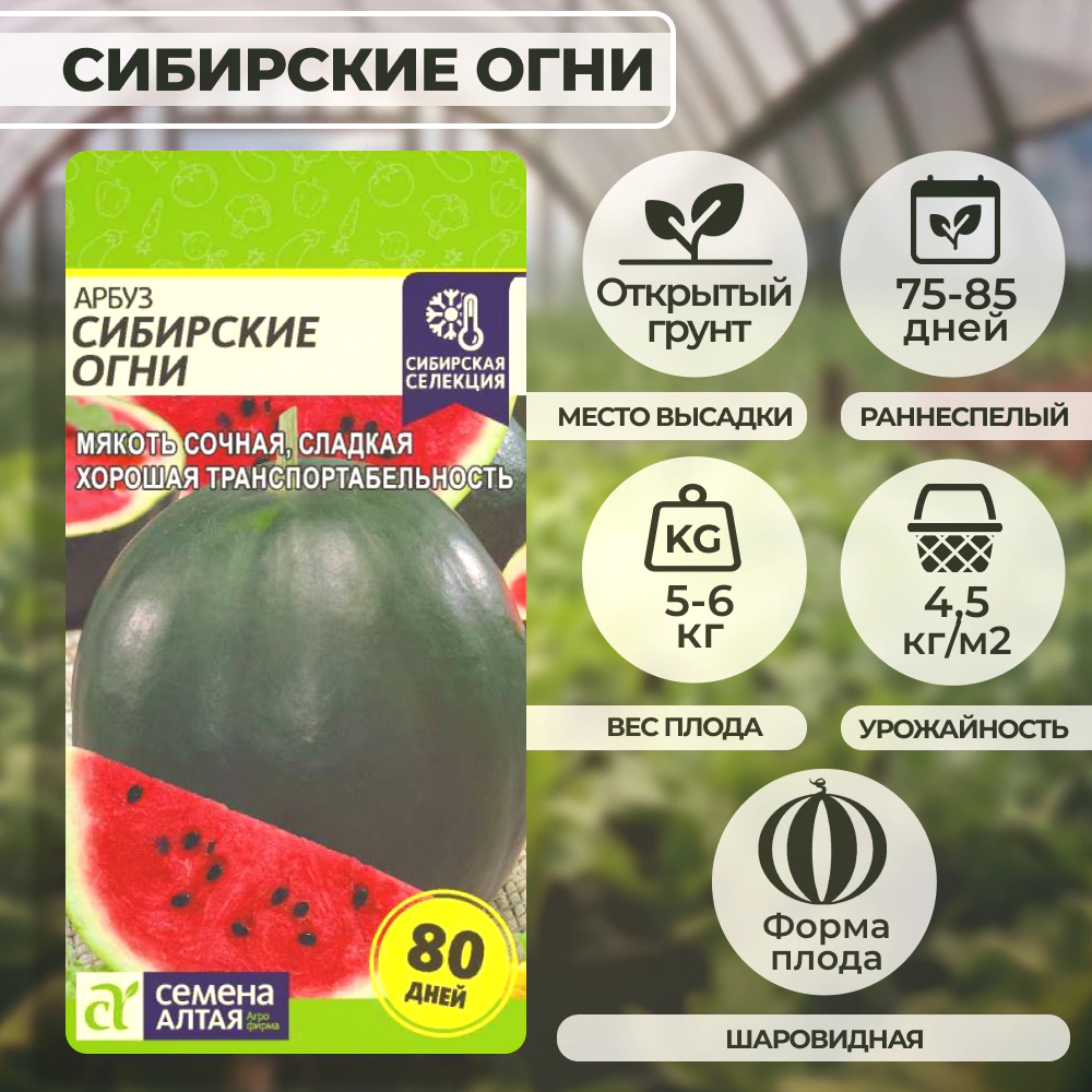Арбуз Сибирские Огни 1 г Семена Алтая
