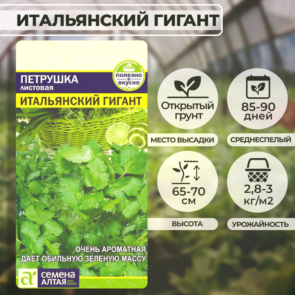 Петрушка листовая Итальянский Гигант 2 г Семена Алтая