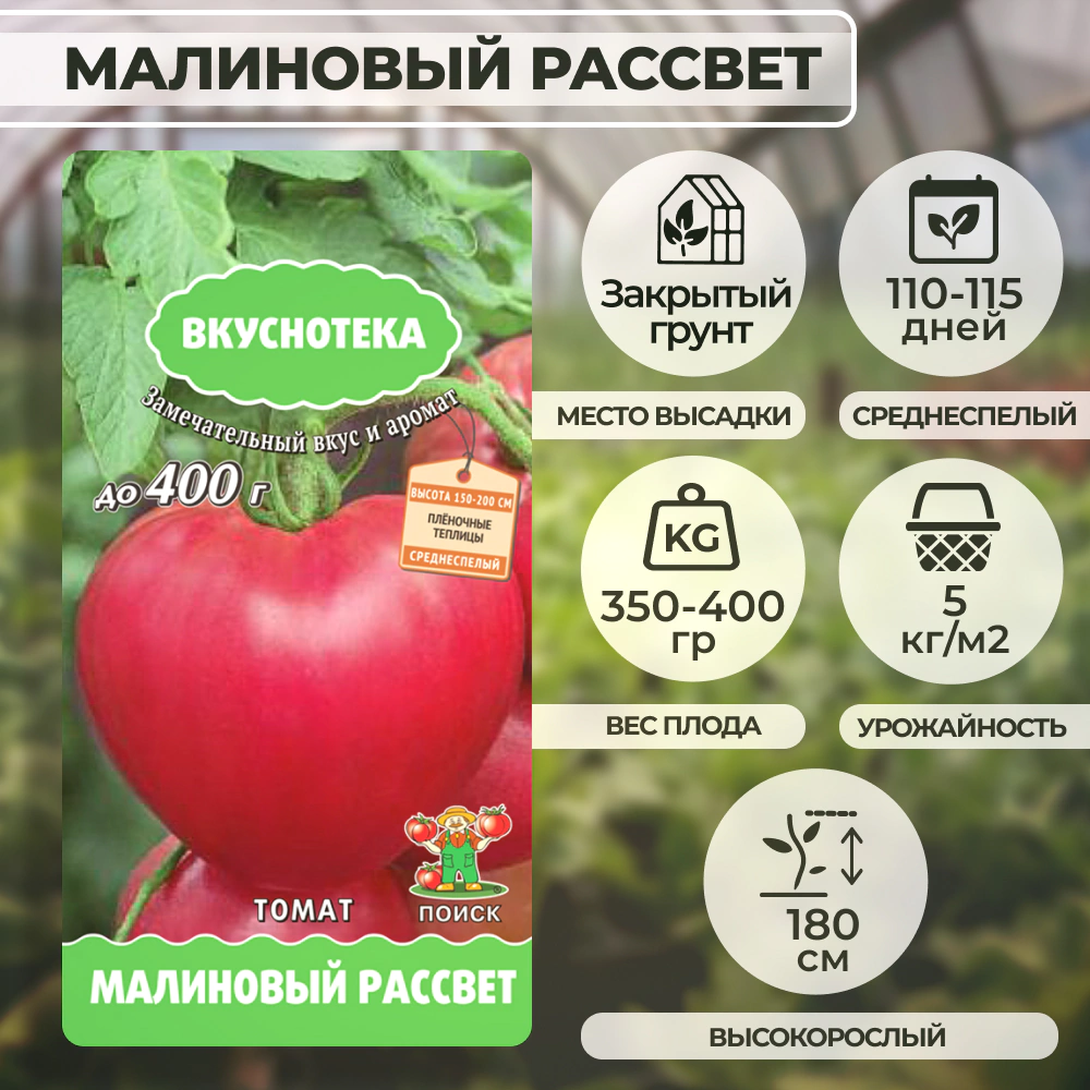 Томат Малиновый рассвет
