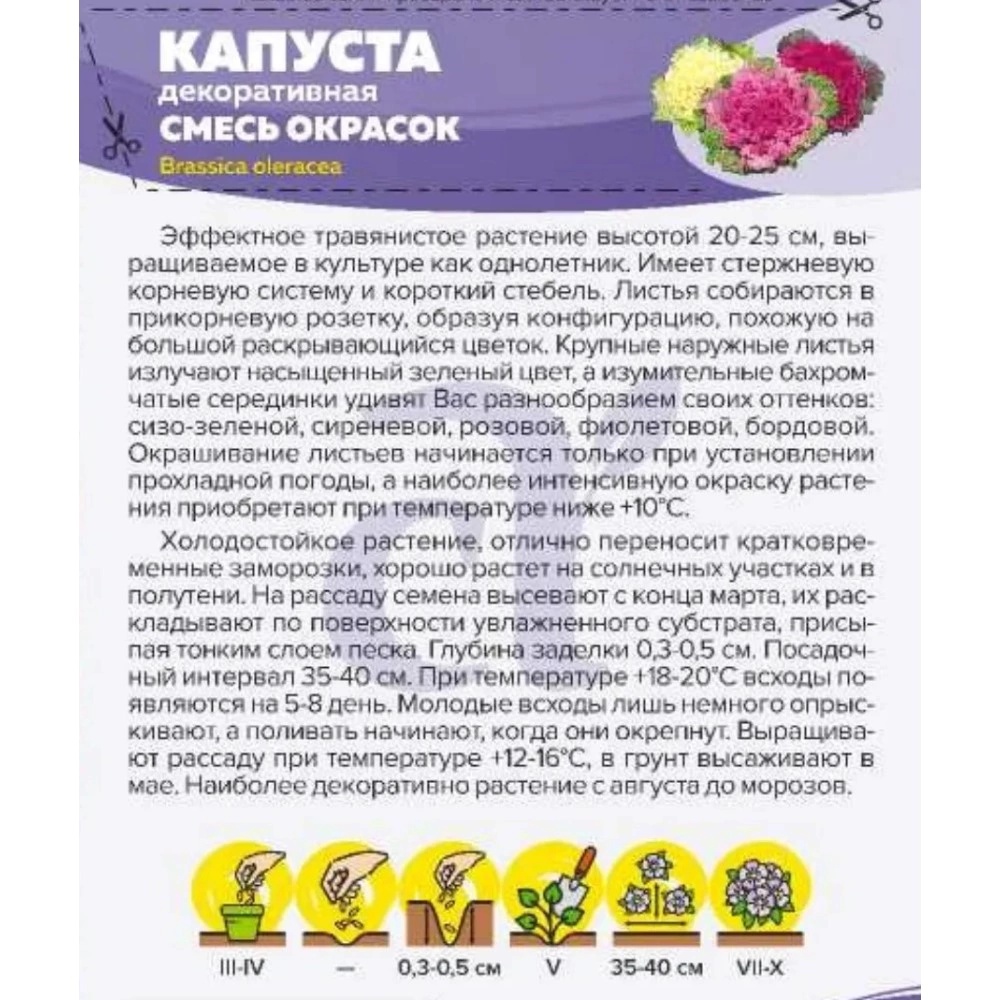 Капуста декоративная Смесь окрасок 0,1 г
