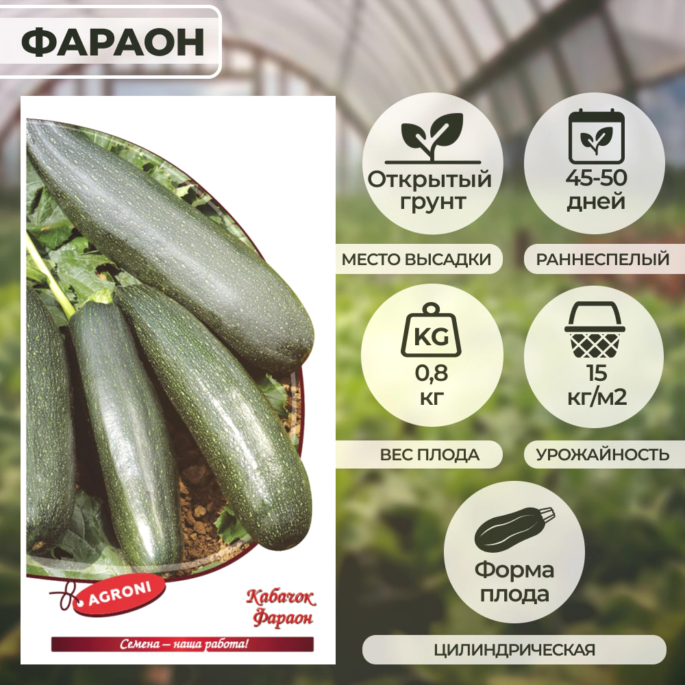 Кабачок Фараон 2 г