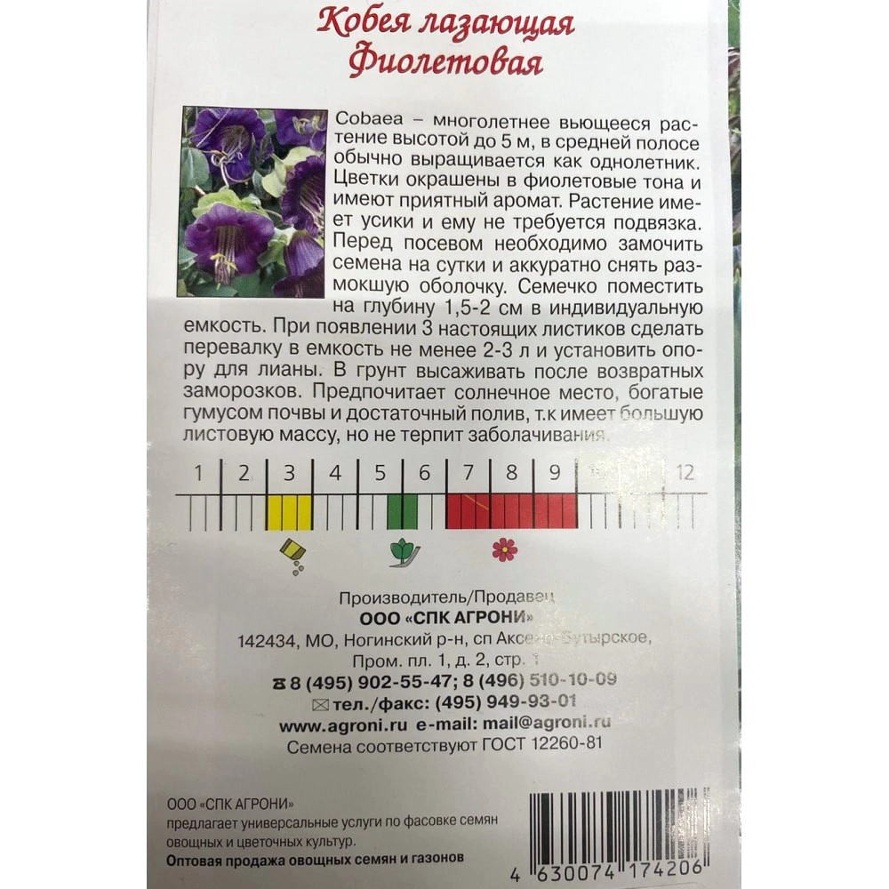 Кобея лазающая фиолетовая 0,3 г