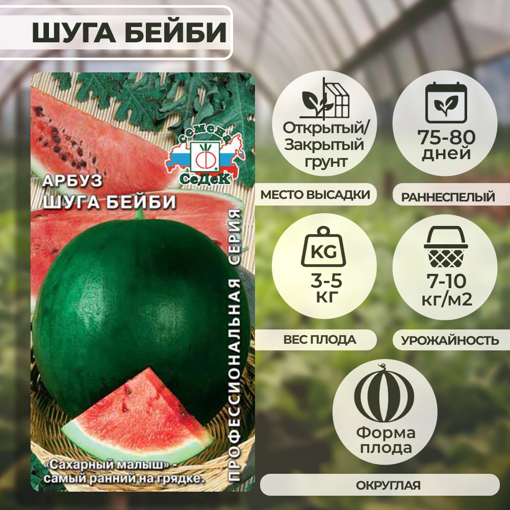 Арбуз Шуга Бейби 1 г