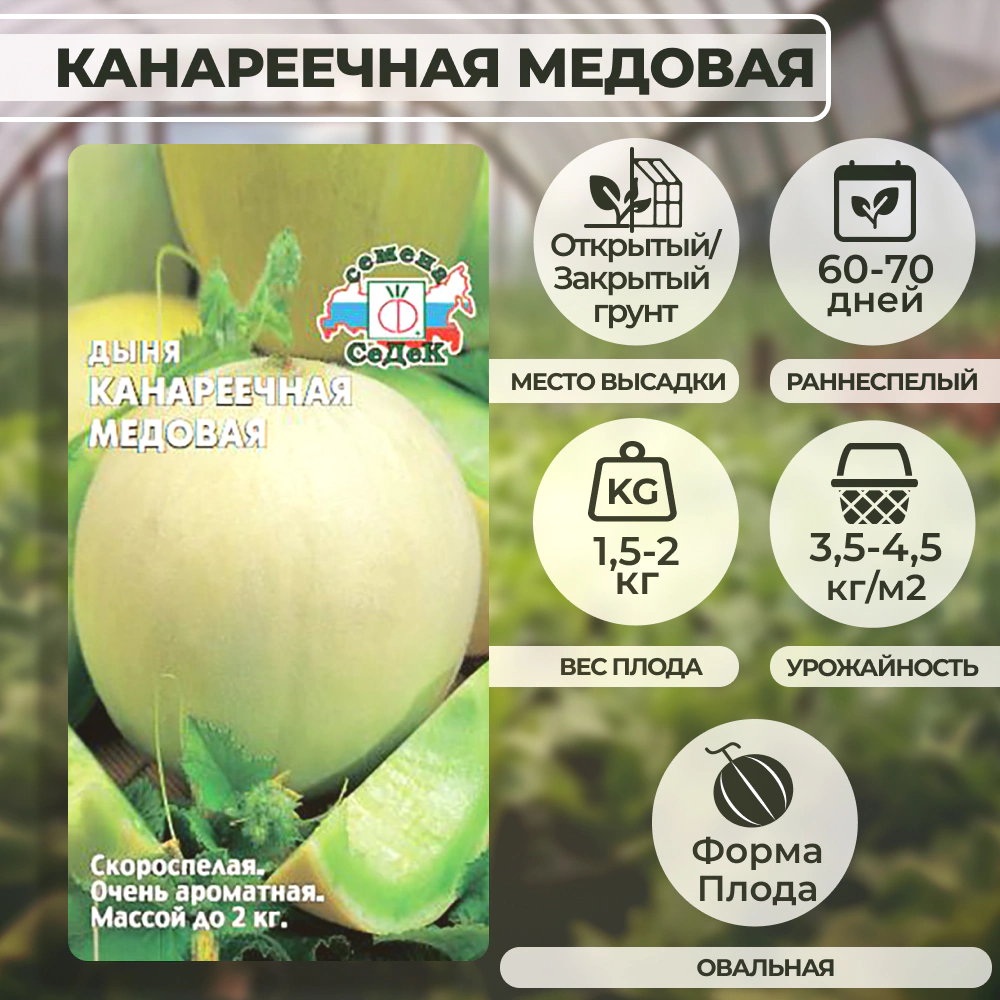 Дыня Канареечная Медовая 0,5 г