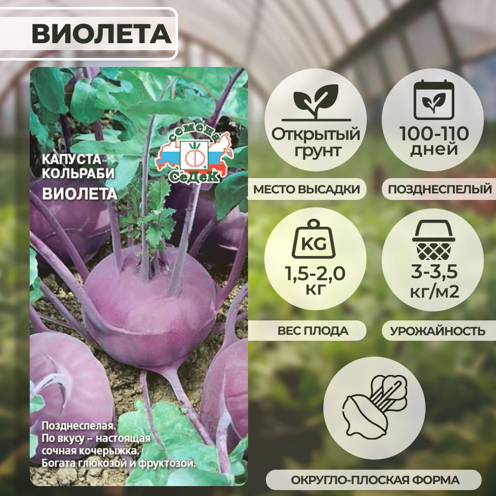 Капуста кольраби Виолета 1 г