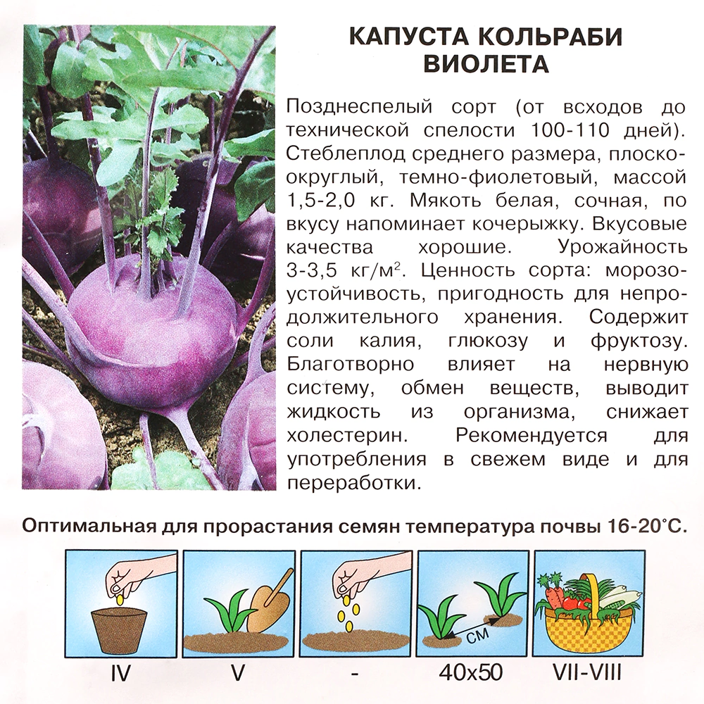 Капуста кольраби Виолета 1 г