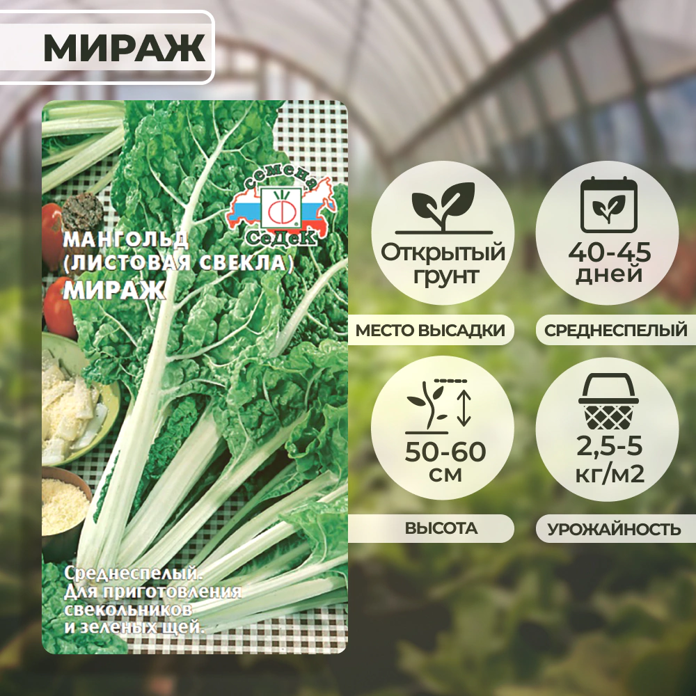 Мангольд Мираж 2 г