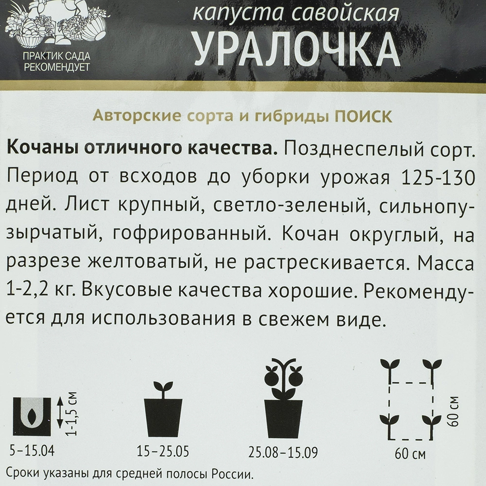 Капуста савойская Уралочка