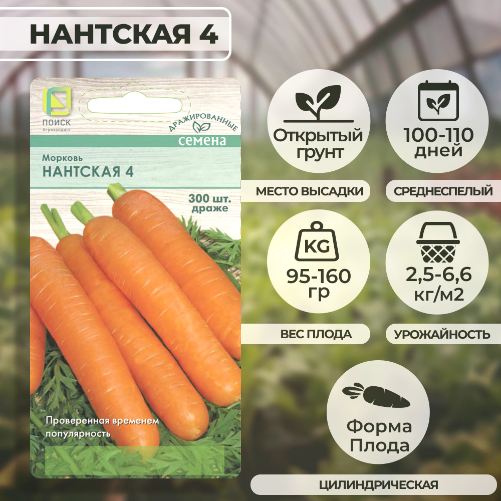 Морковь Нантская 4 (драже) 300 шт
