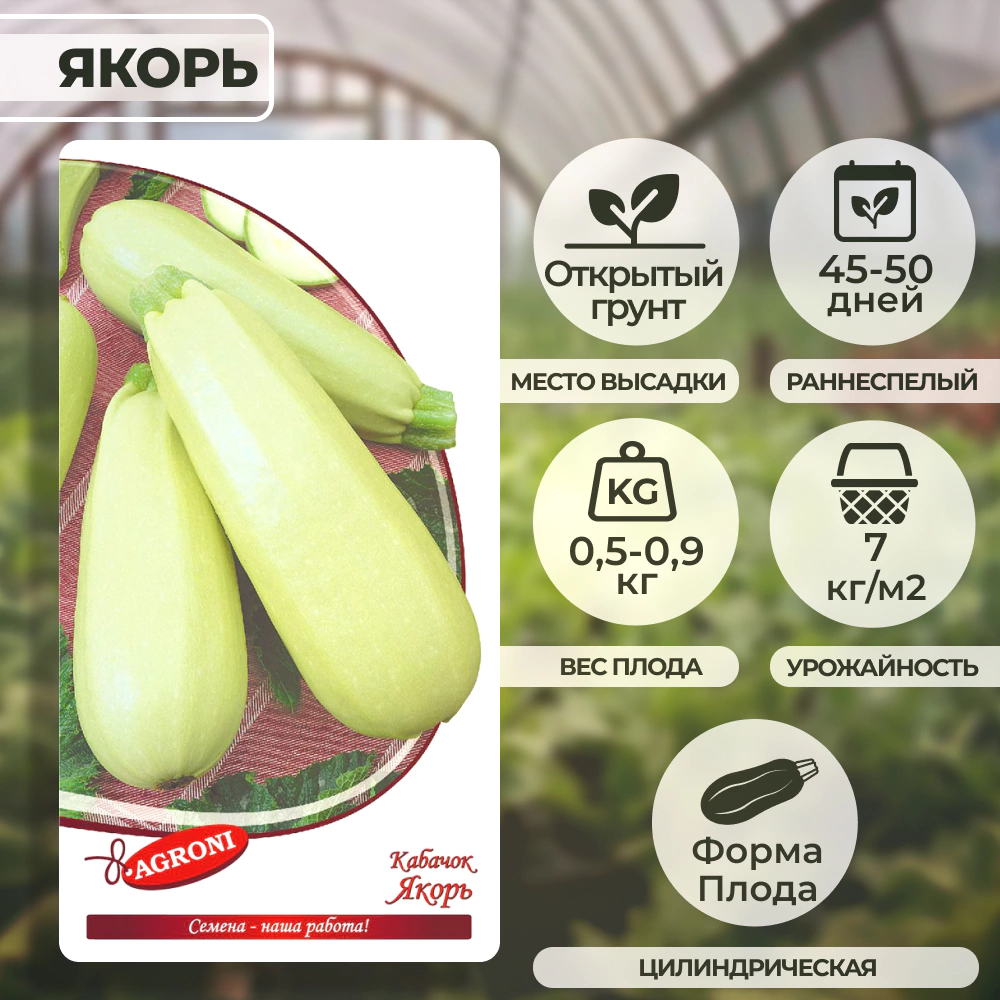 Кабачок Якорь 2 г