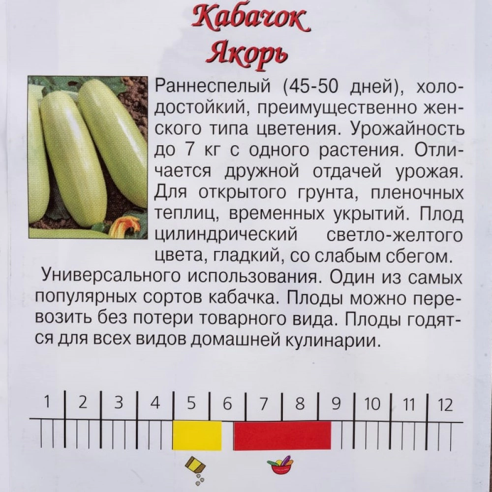 Кабачок Якорь 2 г