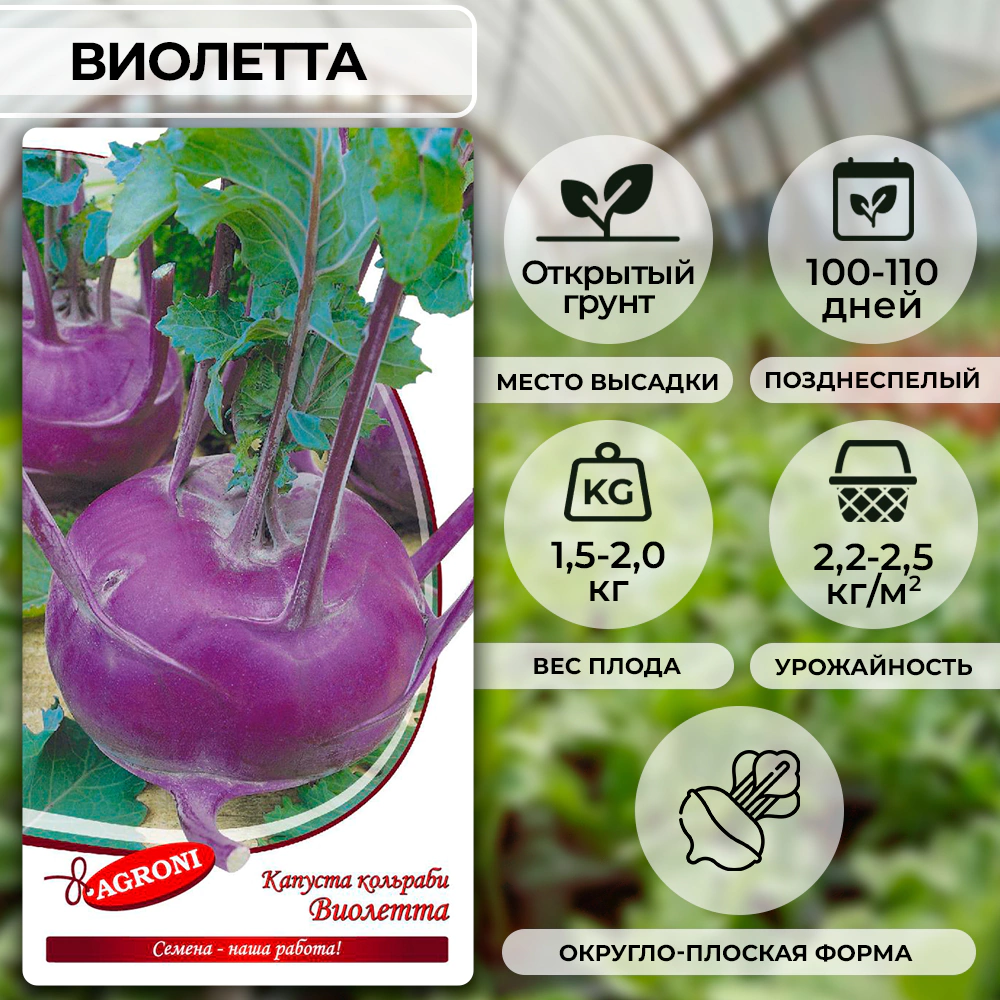 Капуста кольраби Виолета 0,5 г