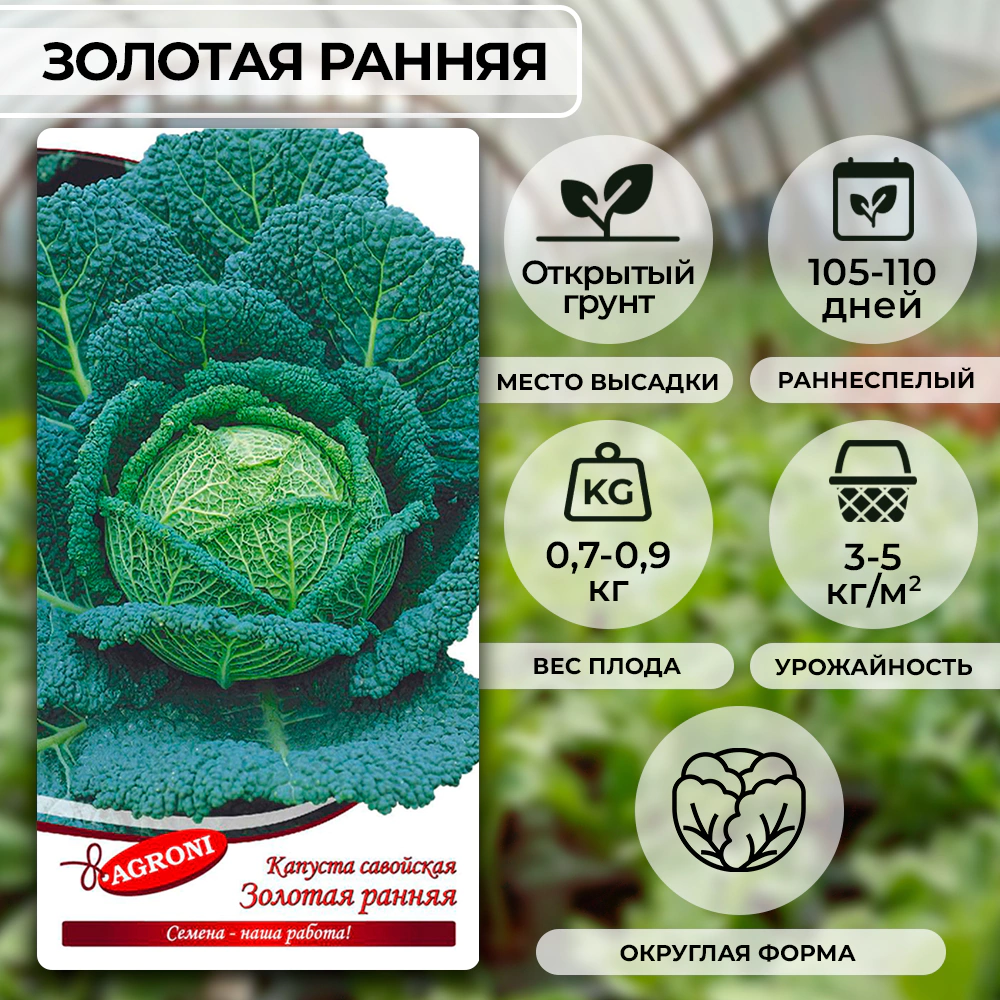Капуста савойская Золотая ранняя 0,5 г