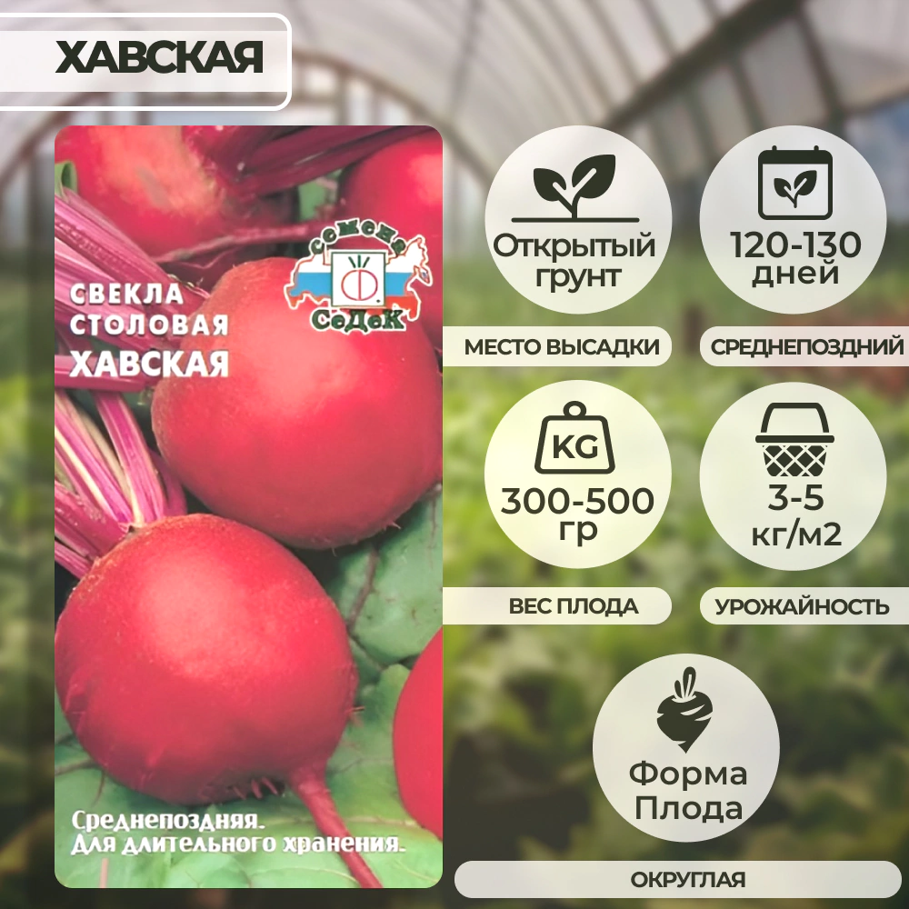 Свекла Хавская (столовая) 3 г