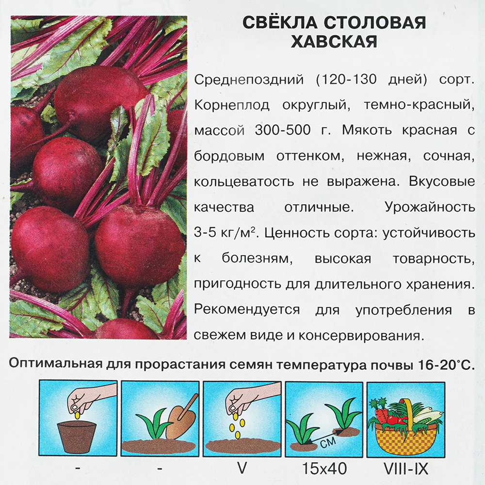 Свекла Хавская (столовая) 3 г