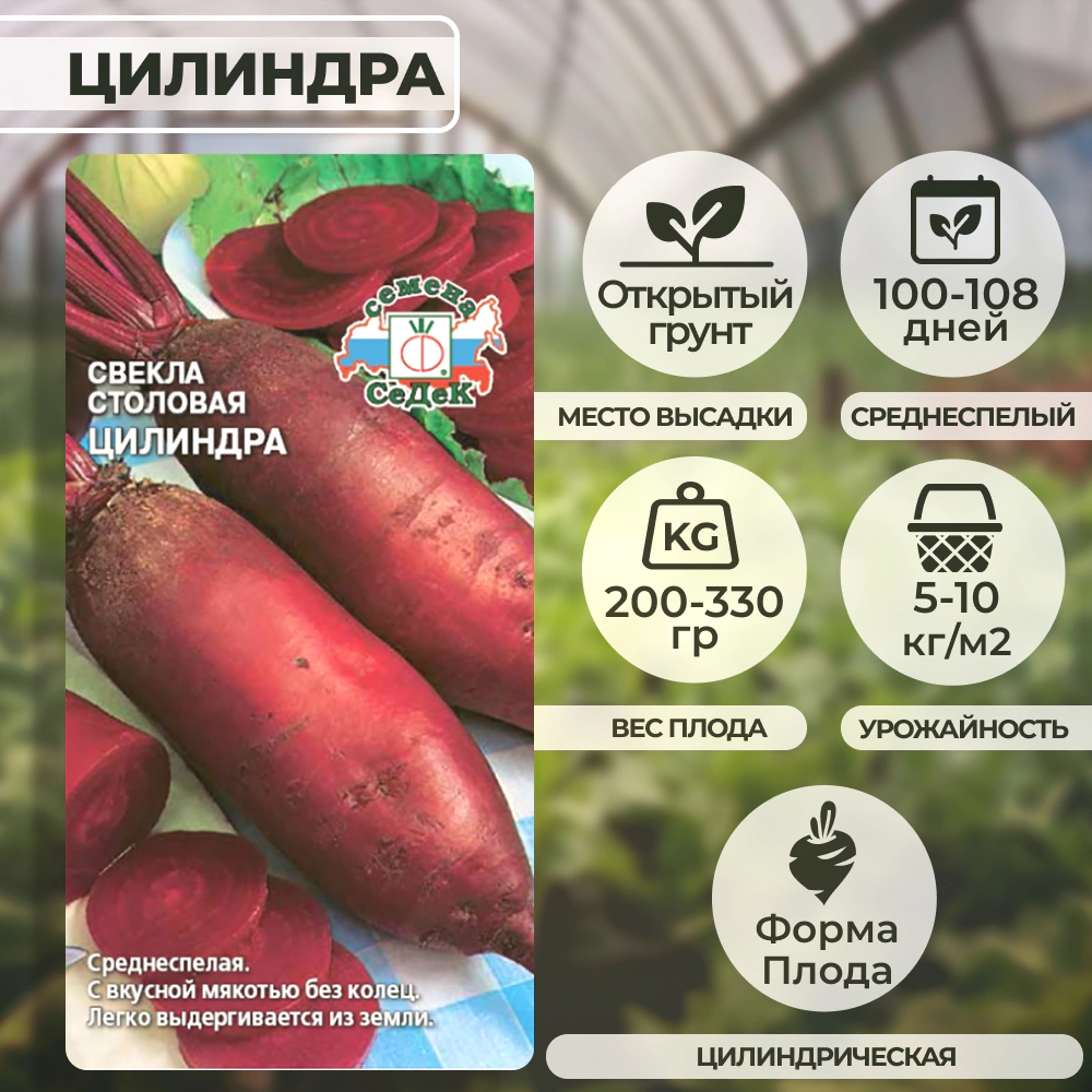 Свекла Цилиндра (столовая) 3 г