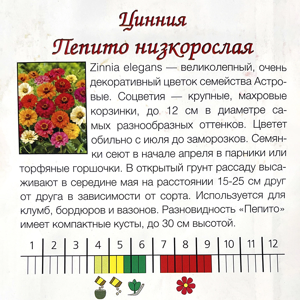 Цинния изящная Пепито низкорослая 0,3г