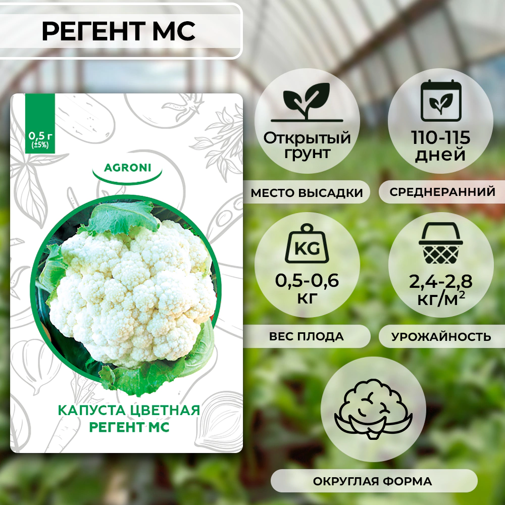 Капуста цветная Регент МС 0,5 г XS