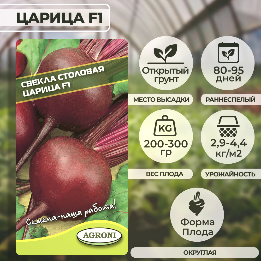 Свекла столовая Царица F1, 2 г XS