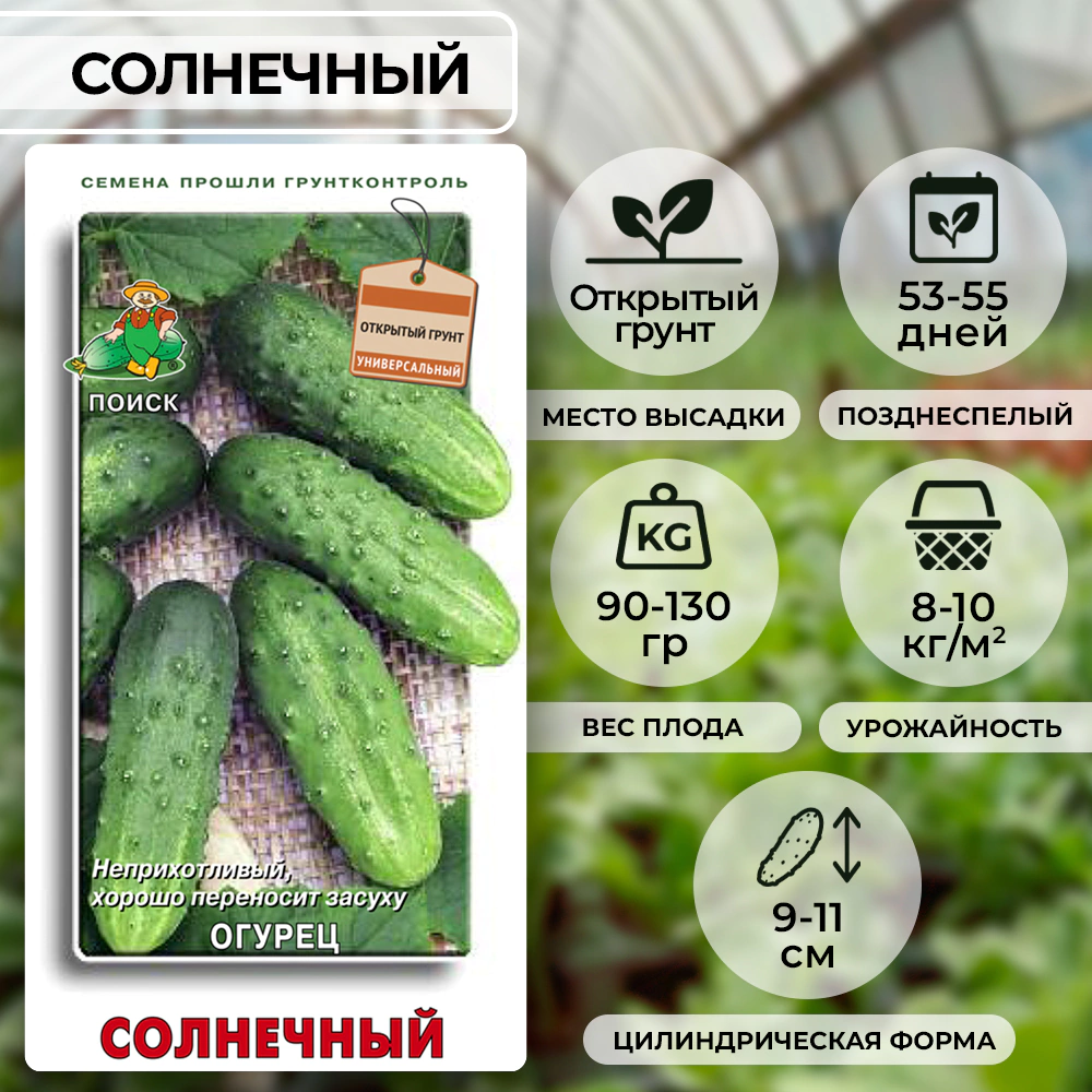 Огурец Солнечный Поиск