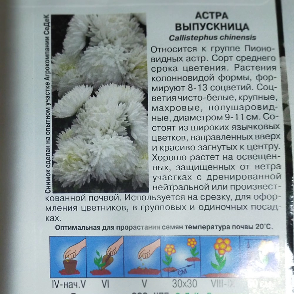 Астра китайская Выпускница пионовидная 0,2 г