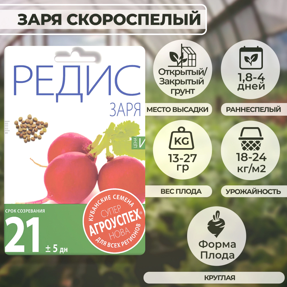 Редис Заря скороспелый 20 г