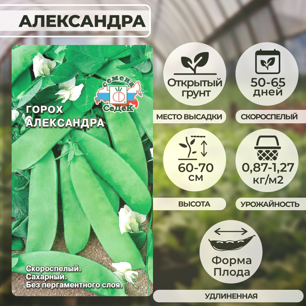 Сбор и хранение урожая