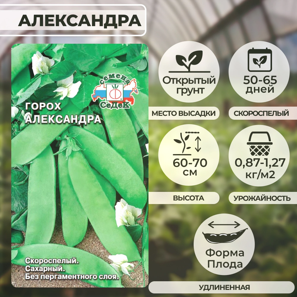 Горох Александра ДУ 5 г