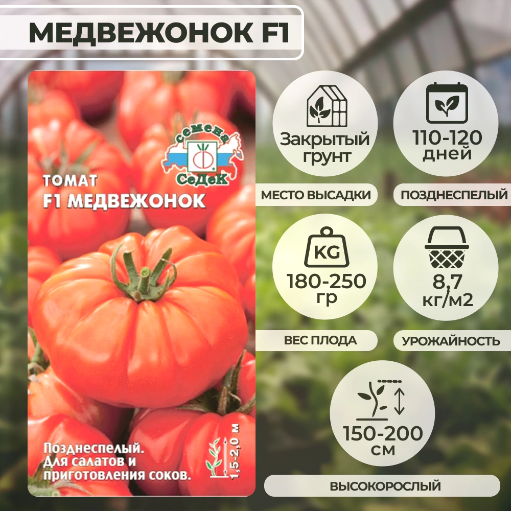 Томат Медвежонок F1