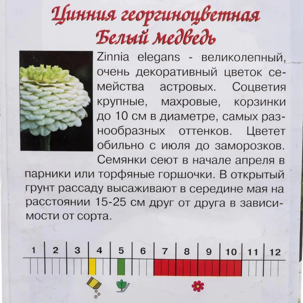 Цинния изящная Белый медведь 0,3г