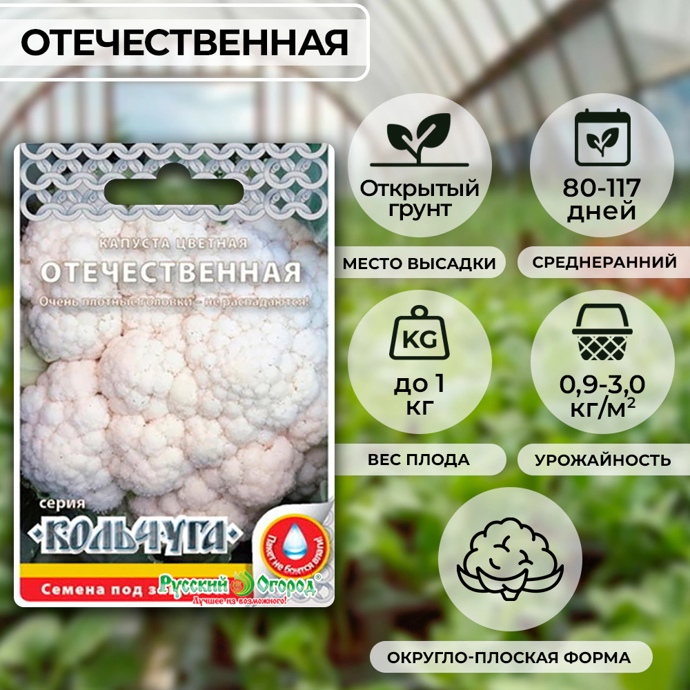 Капуста цветная Отечественная 0,5 г Кольчуга