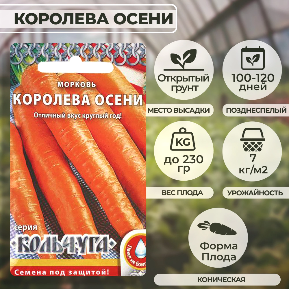 Морковь Королева осени 1,5 г Кольчуга