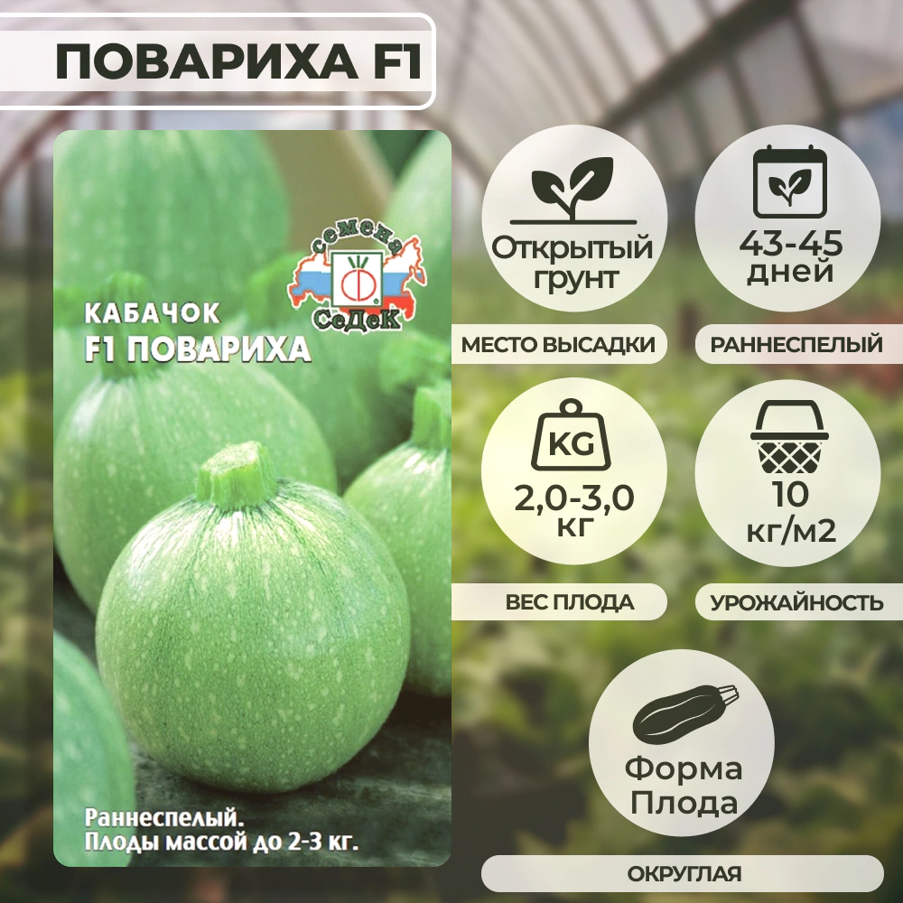 Кабачок Повариха F1 2гр Седек