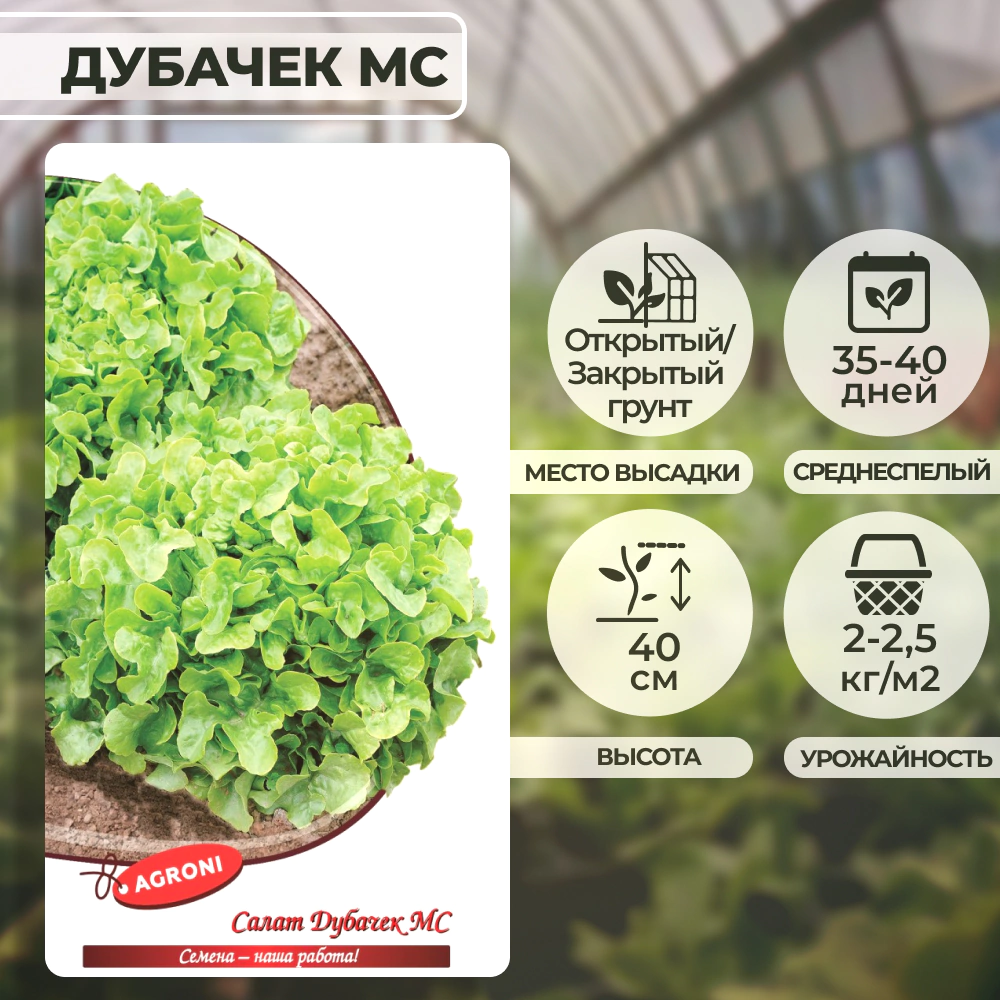 Салат Дубачек МС 0,5 г