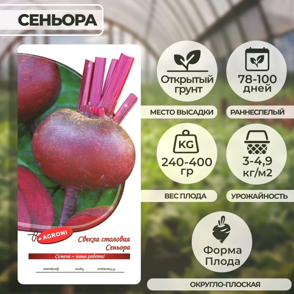 Свекла Сеньора 2 г