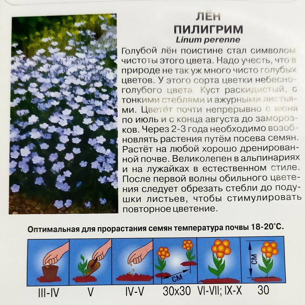 Лен Пилигрим 0,1 г