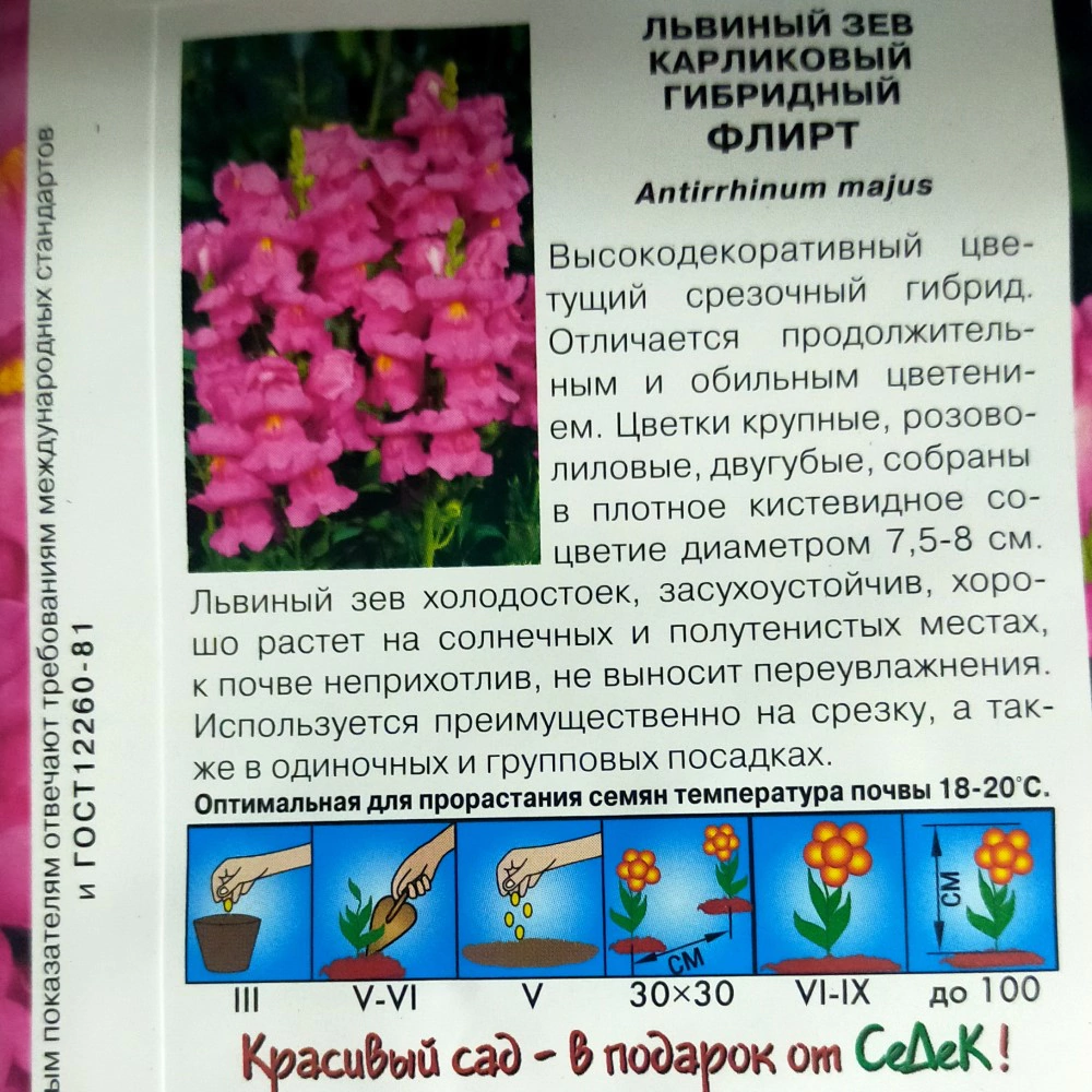 Львиный зев Флирт F1, 10 шт