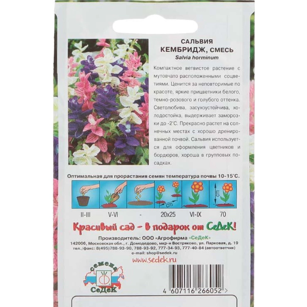 Сальвия Кэмбридж хорминовая 0,25 г
